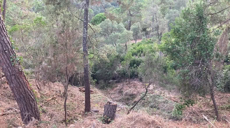 Gerona - Lloret de Mar - 601m2