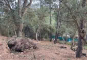 Terreno no urbanizable en venta en la Carrer del Mar Blanc, Lloret de Mar, ref: TR410855 foto