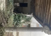 Casa senyorial amb terreny en venda a la calle Alfonso de Quintanilla, Medina del Campo, ref.: TR71838 foto