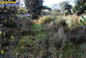 Valencia de Alcántara 400&nbsp;m²