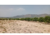 Non-developable land for sale on España, Salinas, ref: TR326719 photo