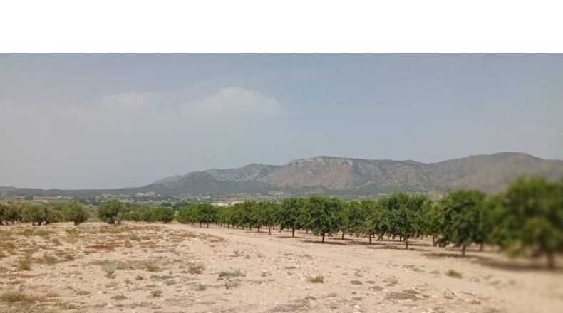 Alicante - Salinas - 47206m2