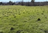 Land suitable for development for sale on Urbanización Chaparritas, Villavieja del Lozoya, ref: TR410874 photo