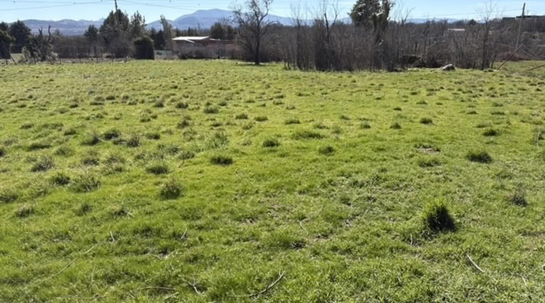 Comunidad de Madrid - Villavieja del Lozoya - 1705m2