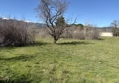 Land suitable for development for sale on Urbanización Chaparritas, Villavieja del Lozoya, ref: TR410874 photo