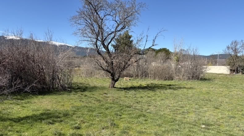 Comunidad de Madrid - Villavieja del Lozoya - 1705m2
