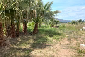 Puçol 1710&nbsp;m² 