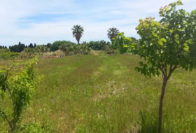 Puçol 1710&nbsp;m² 