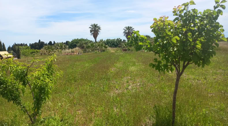 Valencia - Puçol - 1710m2