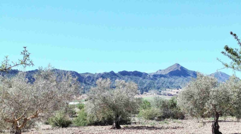 Albacete - Caudete - 8300m2