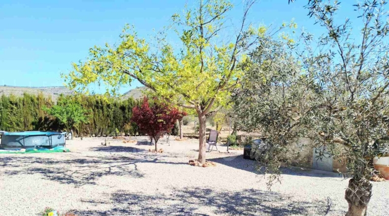 Albacete - Caudete - 8300m2