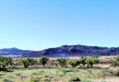 Masia with land for sale in Caudete ref: TR410881 photo