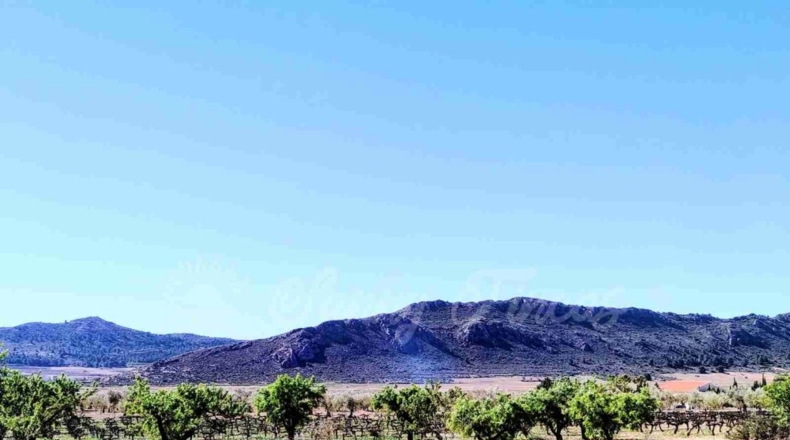 Albacete - Caudete - 8300m2