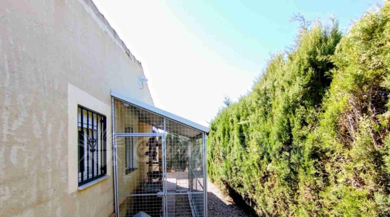 Albacete - Caudete - 8300m2