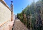 Masia with land for sale in Caudete ref: TR410881 photo