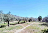 Masia with land for sale in Caudete ref: TR410881 photo