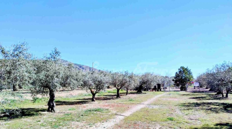 Albacete - Caudete - 8300m2