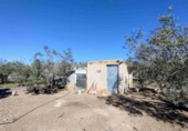 Masia with land for sale in Caudete ref: TR410881 photo