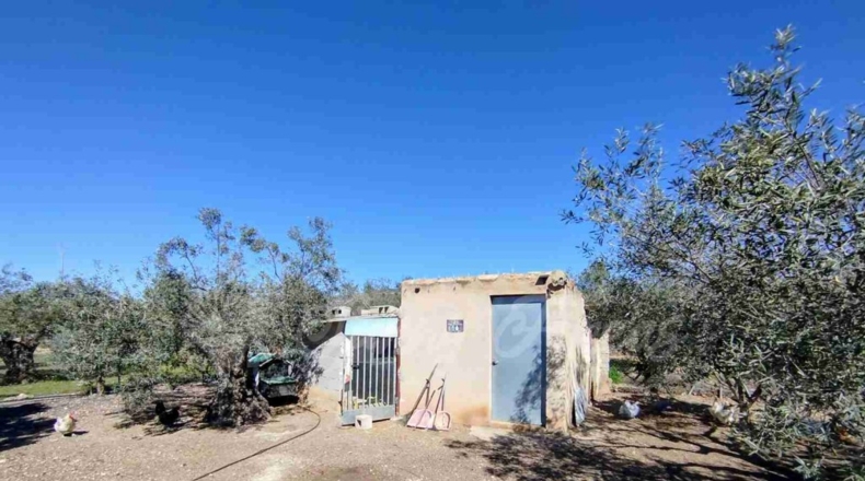 Albacete - Caudete - 8300m2