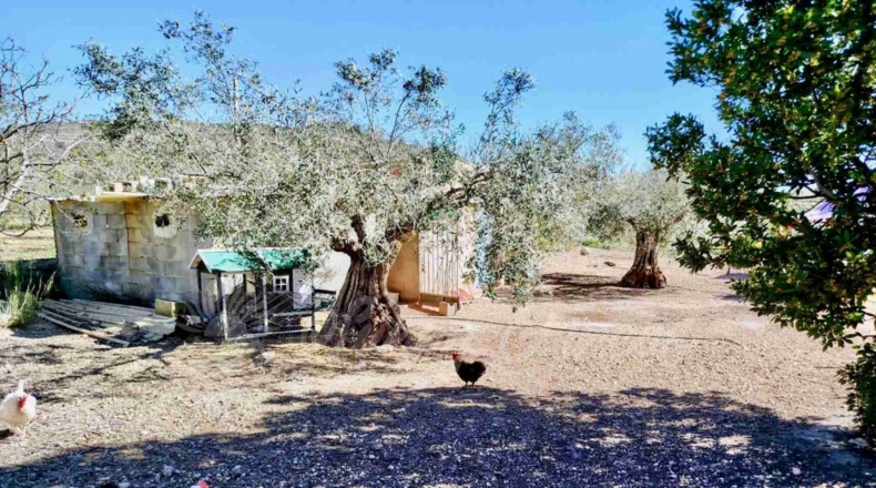 Albacete - Caudete - 8300m2