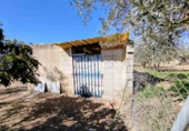 Masia with land for sale in Caudete ref: TR410881 photo