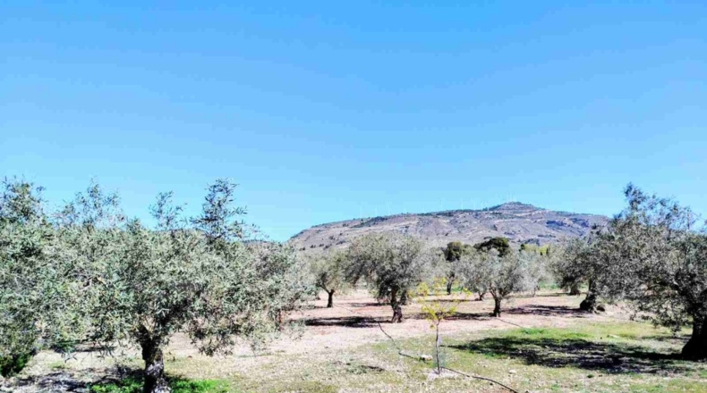 Albacete - Caudete - 8300m2