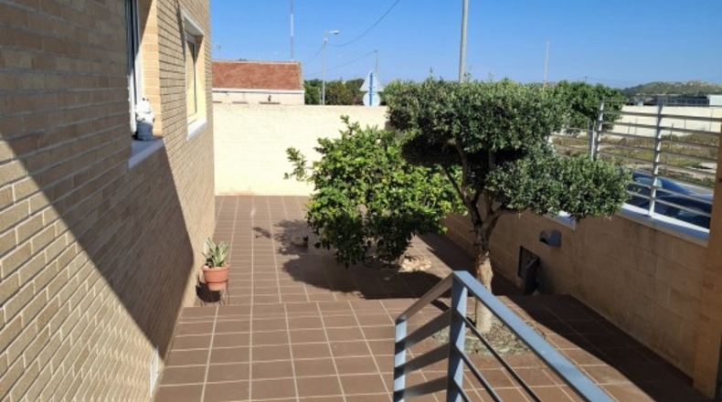 Alicante - el Bacarot - 284m2