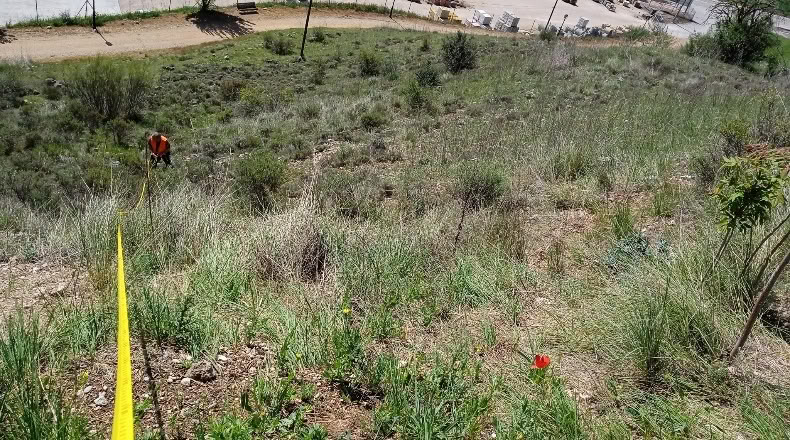Guadalajara - Loranca de Tajuña - 1518m2