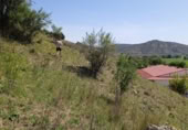 Sòl urbà en venda a la Carretera de Pioz, Loranca de Tajuña, ref.: TR290096 foto