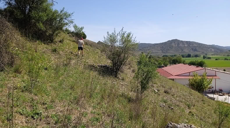 Guadalajara - Loranca de Tajuña - 1518m2