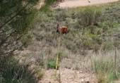 Sòl urbà en venda a la Carretera de Pioz, Loranca de Tajuña, ref.: TR290096 foto