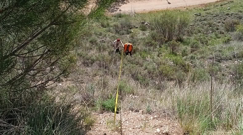 Guadalajara - Loranca de Tajuña - 1518m2