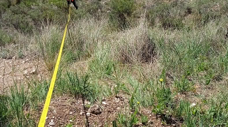 Guadalajara - Loranca de Tajuña - 1518m2