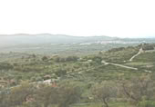 Terreny no urbanitzable en venda a la Camí de la Volta, Peníscola, ref.: TR410893 foto