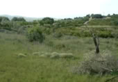Terreny no urbanitzable en venda a la Camí de la Volta, Peníscola, ref.: TR410893 foto