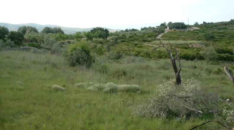 Castellón - Peñíscola - 10000m2
