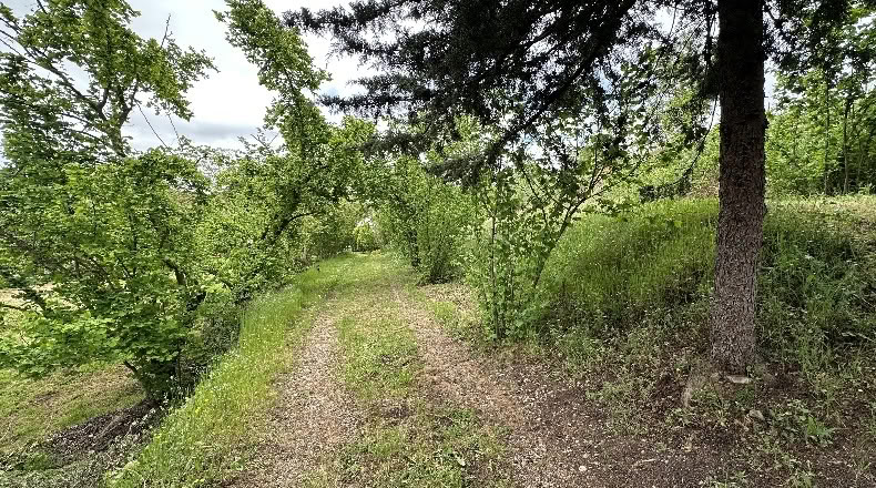 La Rioja - Tricio - 3409m2
