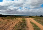 Terreno no urbanizable en venta en la España, Motilleja, ref: TR95632 foto