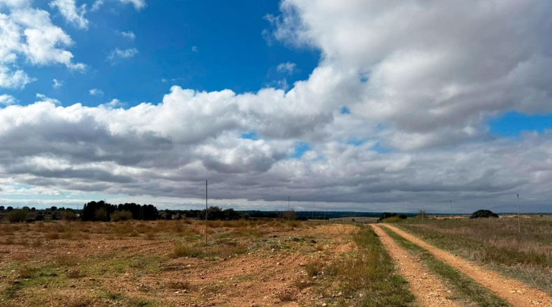 Albacete - Motilleja - 7568m2