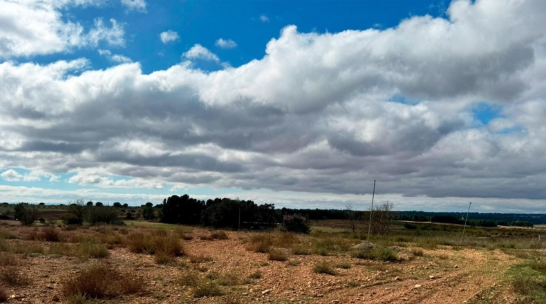 Albacete - Motilleja - 7568m2