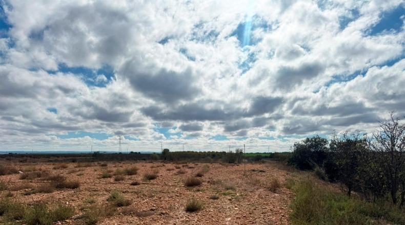 Albacete - Motilleja - 7568m2