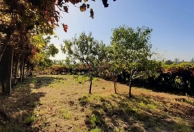 As Neves 3000&nbsp;m² 