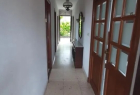 Amoeiro 1000&nbsp;m² 