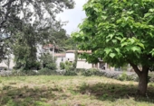 Casa de poble en venda a Amoeiro ref.: TR410899 foto