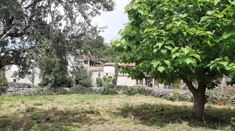 Оренсе - Amoeiro - 1000m2