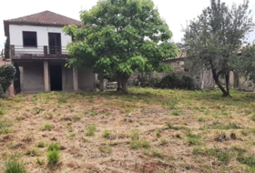Amoeiro 1000&nbsp;m² 