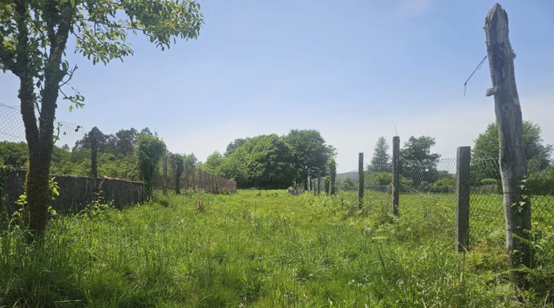 Pontevedra - Forcarei - 700m2