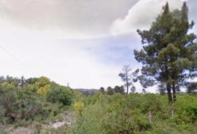 Melón 38000&nbsp;m²