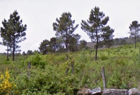 Melón 38000&nbsp;m²
