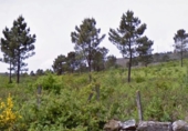 Terreno no urbanizable en venta en Melón ref: TR406887 foto